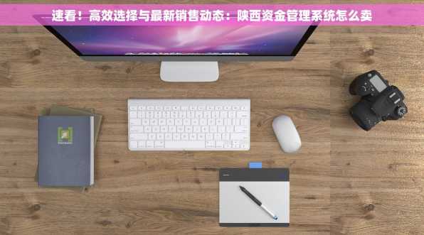 速看！高效选择与最新销售动态：陕西资金管理系统怎么卖