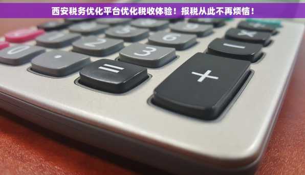 西安税务优化平台优化税收体验！报税从此不再烦恼！