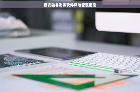 西安硅谷财务软件风险管理措施