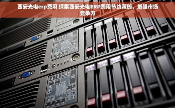 西安光电erp费用 探索西安光电ERP费用节约策略，增强市场竞争力
