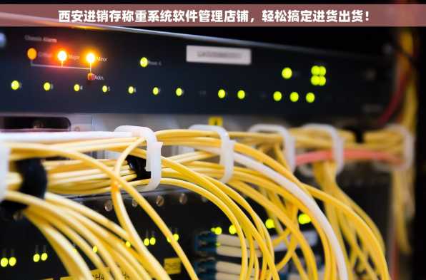 西安进销存称重系统软件管理店铺，轻松搞定进货出货！