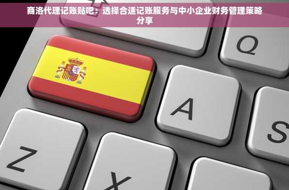 商洛代理记账贴吧：选择合适记账服务与中小企业财务管理策略分享