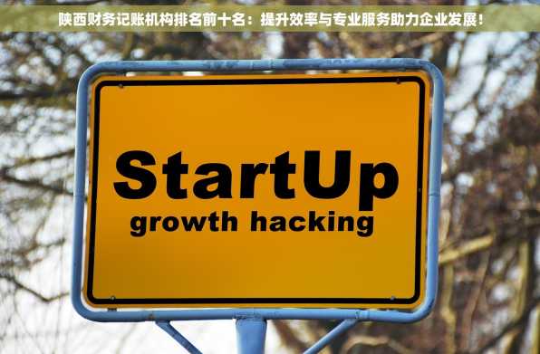 陕西财务记账机构排名前十名：提升效率与专业服务助力企业发展！
