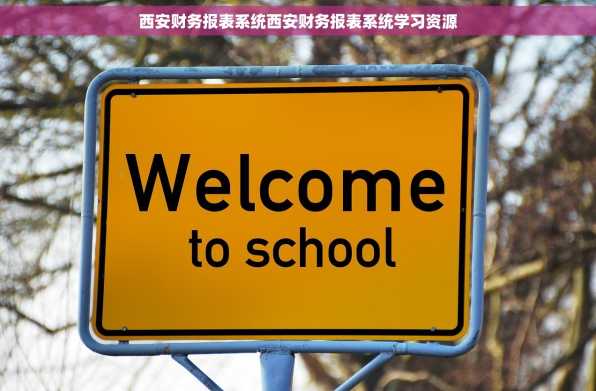 西安财务报表系统西安财务报表系统学习资源