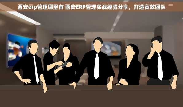 西安erp管理哪里有 西安ERP管理实战经验分享，打造高效团队