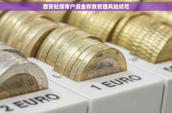 西安社保专户资金存放管理风险防范
