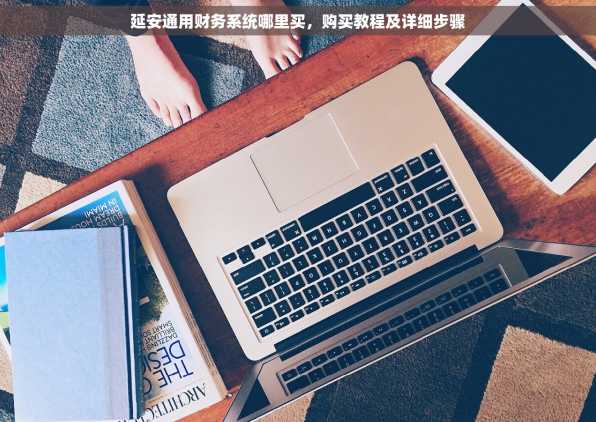 延安通用财务系统哪里买，购买教程及详细步骤