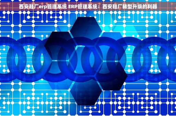 西安鞋厂erp管理系统 ERP管理系统：西安鞋厂转型升级的利器