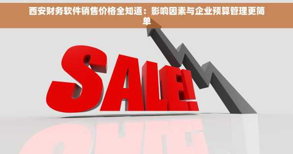 西安财务软件销售价格全知道：影响因素与企业预算管理更简单