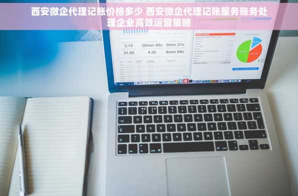 西安微企代理记账价格多少 西安微企代理记账服务账务处理企业高效运营策略