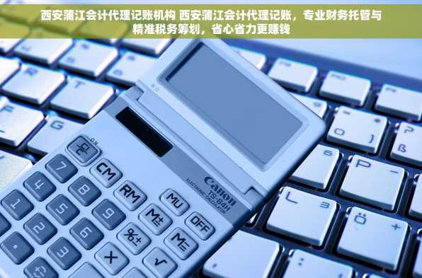 西安蒲江会计代理记账机构 西安蒲江会计代理记账，专业财务托管与精准税务筹划，省心省力更赚钱