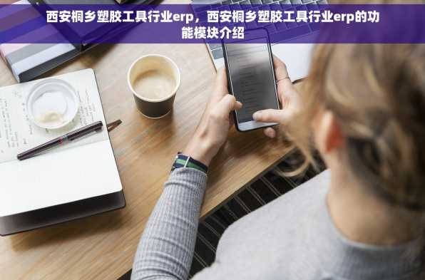 西安桐乡塑胶工具行业erp，西安桐乡塑胶工具行业erp的功能模块介绍