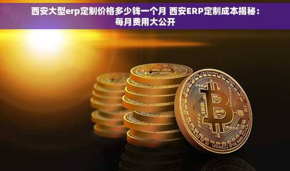 西安大型erp定制价格多少钱一个月 西安ERP定制成本揭秘：每月费用大公开