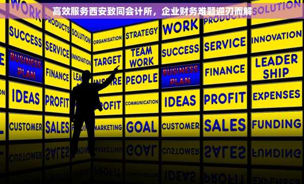 高效服务西安致同会计所，企业财务难题迎刃而解