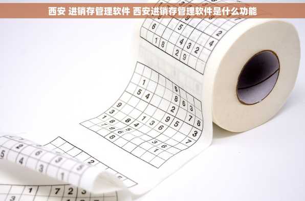 西安 进销存管理软件 西安进销存管理软件是什么功能