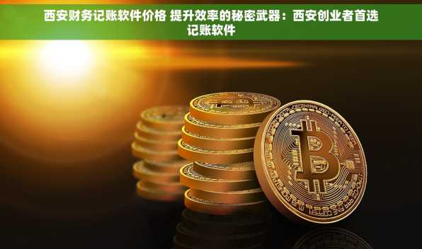 西安财务记账软件价格 提升效率的秘密武器：西安创业者首选记账软件