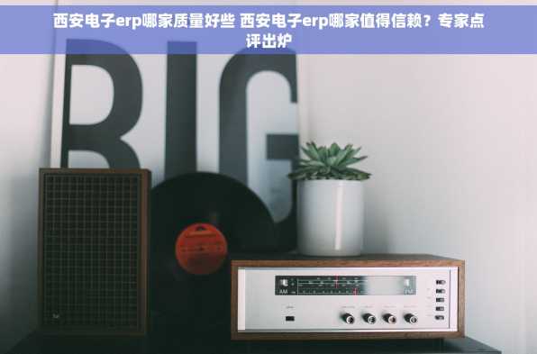 西安电子erp哪家质量好些 西安电子erp哪家值得信赖？专家点评出炉
