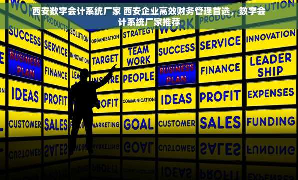 西安数字会计系统厂家 西安企业高效财务管理首选，数字会计系统厂家推荐