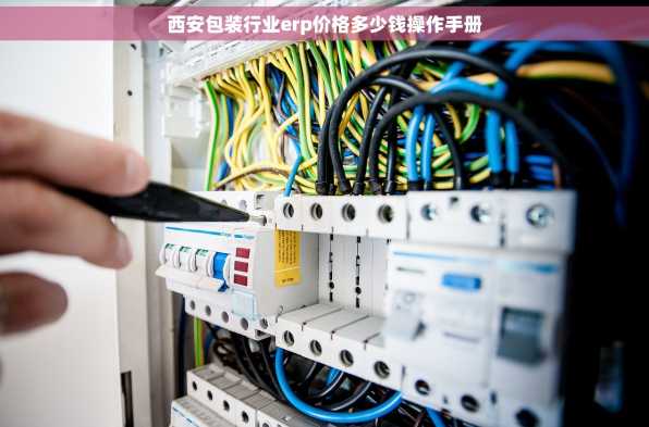 西安包装行业erp价格多少钱操作手册
