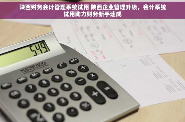 陕西财务会计管理系统试用 陕西企业管理升级，会计系统试用助力财务新手速成