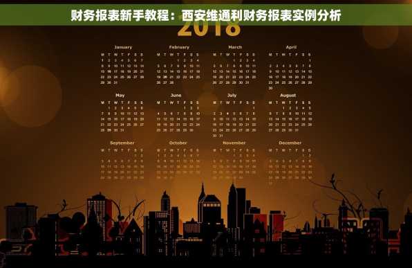 财务报表新手教程：西安维通利财务报表实例分析