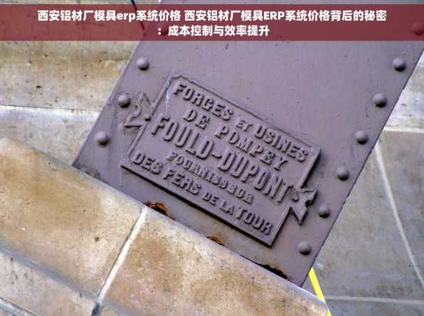 西安铝材厂模具erp系统价格 西安铝材厂模具ERP系统价格背后的秘密：成本控制与效率提升