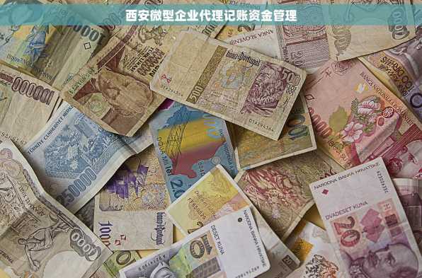 西安微型企业代理记账资金管理