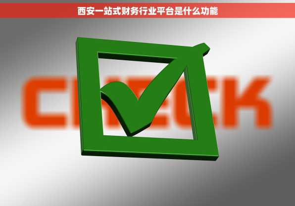 西安一站式财务行业平台是什么功能