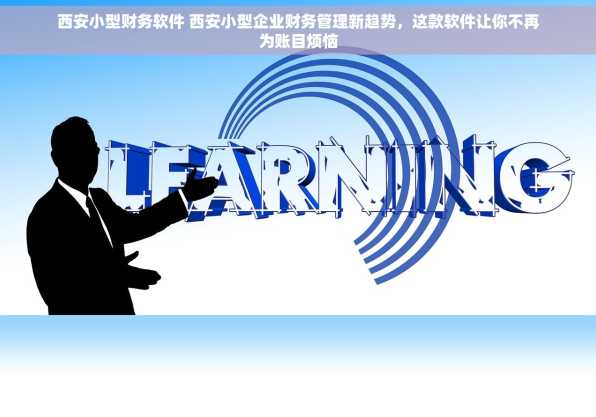 西安小型财务软件 西安小型企业财务管理新趋势，这款软件让你不再为账目烦恼