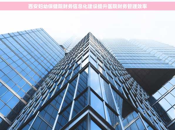 西安妇幼保健院财务信息化建设提升医院财务管理效率