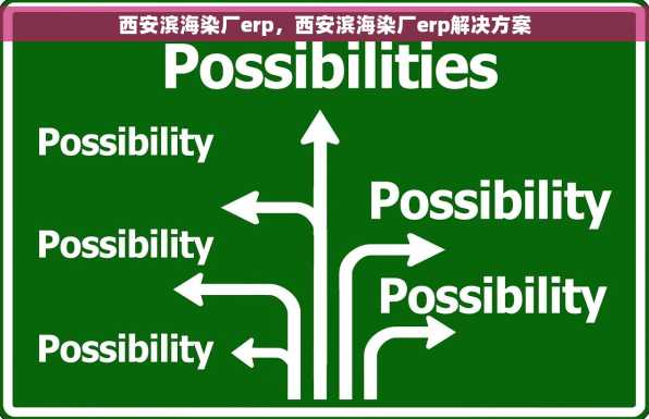 西安滨海染厂erp，西安滨海染厂erp解决方案