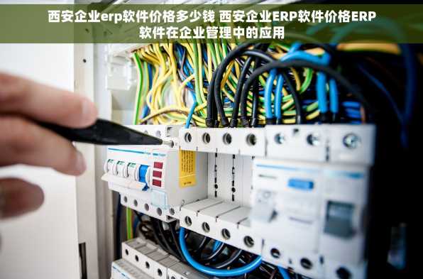 西安企业erp软件价格多少钱 西安企业ERP软件价格ERP软件在企业管理中的应用