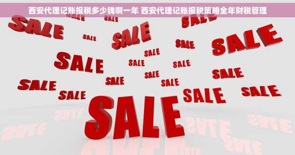 西安代理记账报税多少钱啊一年 西安代理记账报税策略全年财税管理