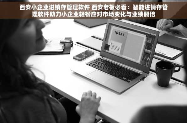 西安小企业进销存管理软件 西安老板必看：智能进销存管理软件助力小企业轻松应对市场变化与业绩翻倍