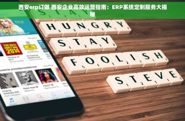 西安erp订做 西安企业高效运营指南：ERP系统定制服务大揭秘