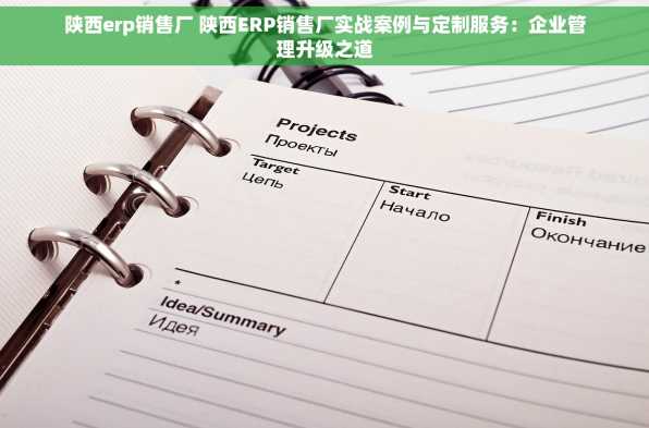 陕西erp销售厂 陕西ERP销售厂实战案例与定制服务：企业管理升级之道