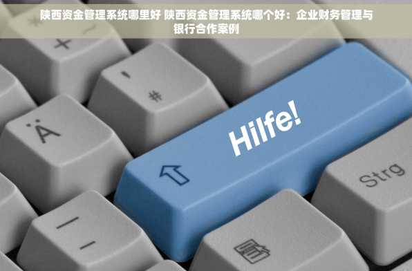 陕西资金管理系统哪里好 陕西资金管理系统哪个好：企业财务管理与银行合作案例