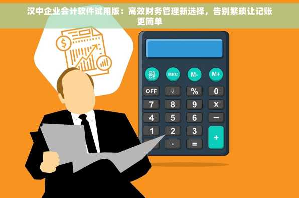 汉中企业会计软件试用版：高效财务管理新选择，告别繁琐让记账更简单