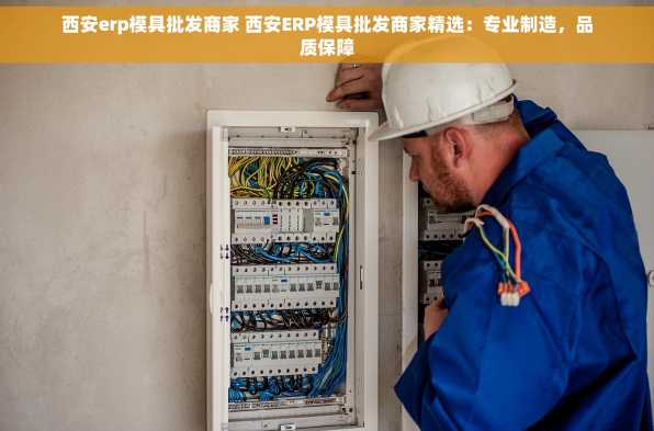 西安erp模具批发商家 西安ERP模具批发商家精选：专业制造，品质保障