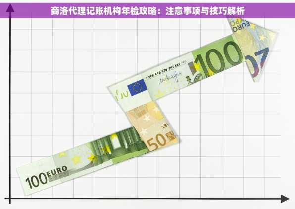 商洛代理记账机构年检攻略：注意事项与技巧解析