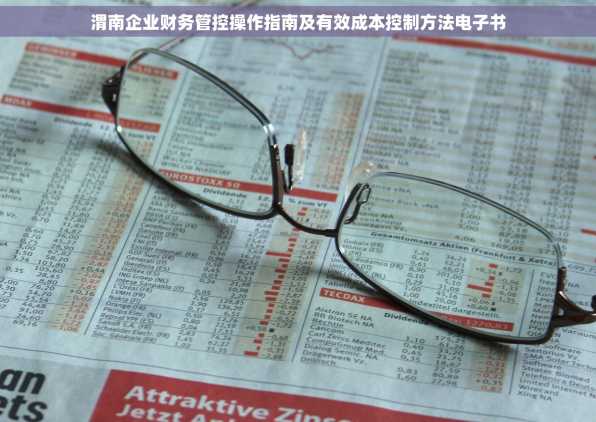 渭南企业财务管控操作指南及有效成本控制方法电子书
