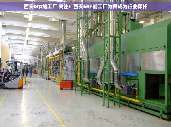 西安erp加工厂 关注！西安ERP加工厂为何成为行业标杆
