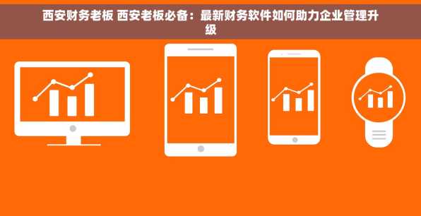 西安财务老板 西安老板必备：最新财务软件如何助力企业管理升级