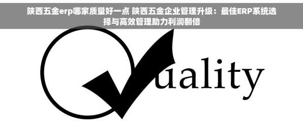 陕西五金erp哪家质量好一点 陕西五金企业管理升级：最佳ERP系统选择与高效管理助力利润翻倍