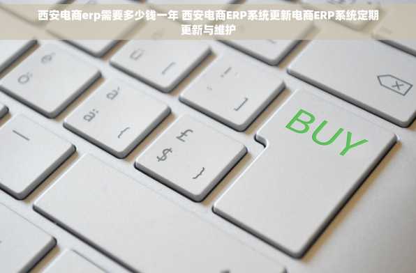 西安电商erp需要多少钱一年 西安电商ERP系统更新电商ERP系统定期更新与维护