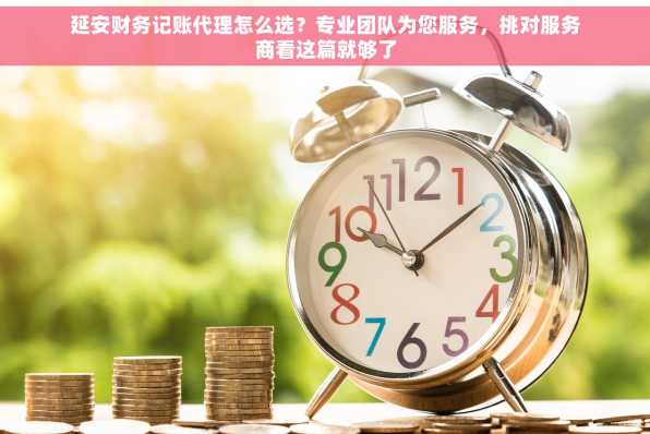 延安财务记账代理怎么选？专业团队为您服务，挑对服务商看这篇就够了
