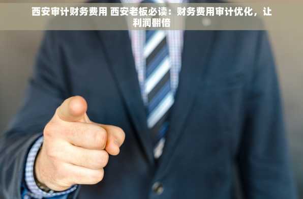 西安审计财务费用 西安老板必读：财务费用审计优化，让利润翻倍