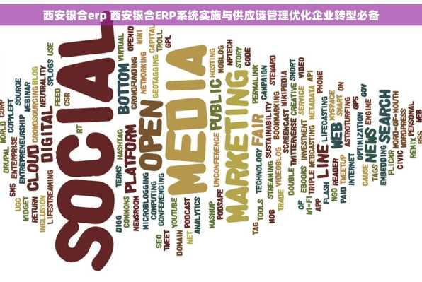 西安银合erp 西安银合ERP系统实施与供应链管理优化企业转型必备