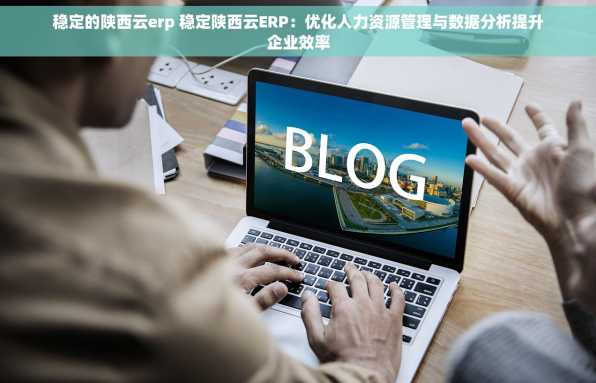 稳定的陕西云erp 稳定陕西云ERP：优化人力资源管理与数据分析提升企业效率