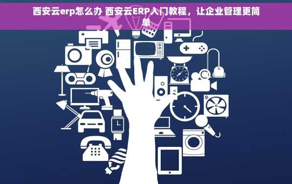 西安云erp怎么办 西安云ERP入门教程，让企业管理更简单